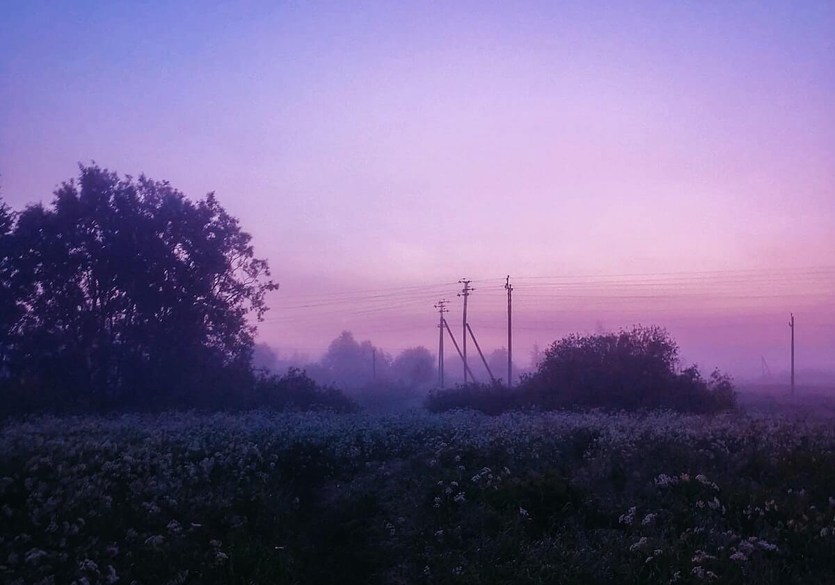 BetVictor伟德——畅享顶级体育竞技与娱乐体验